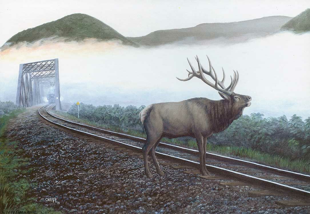 Train Enthusiast Vendors 48856 Elk Tracks 550 Piece Puzzle