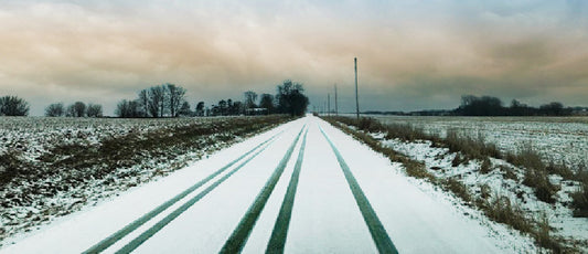 From Snowy Illinois to Trainz: A Massive Train Collection Story