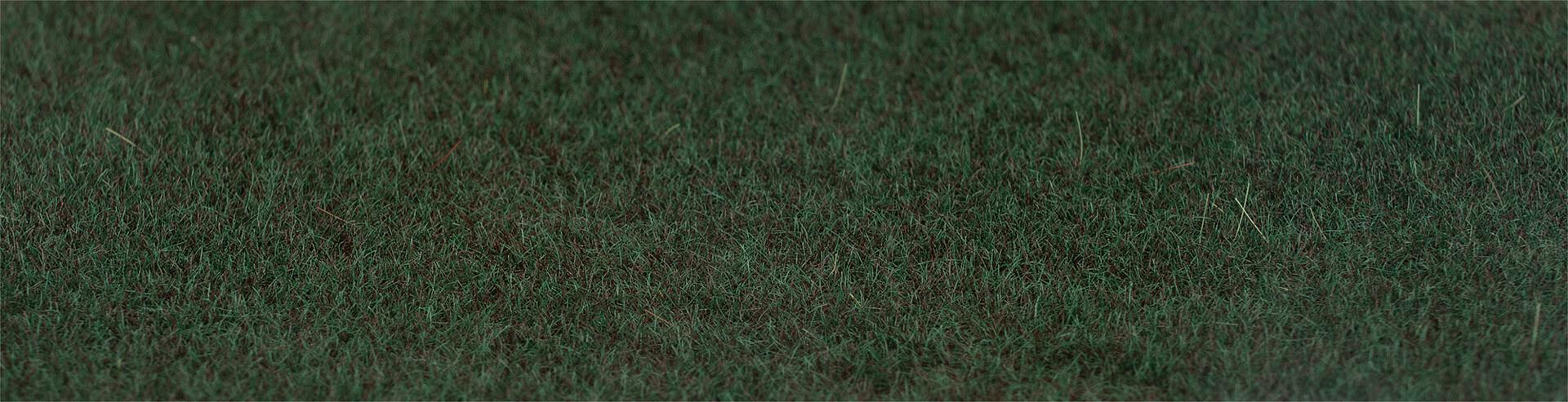 Faller 170202 HO/N/TT/Z 130 g 2-3 mm Fir Green Scattered Fibers