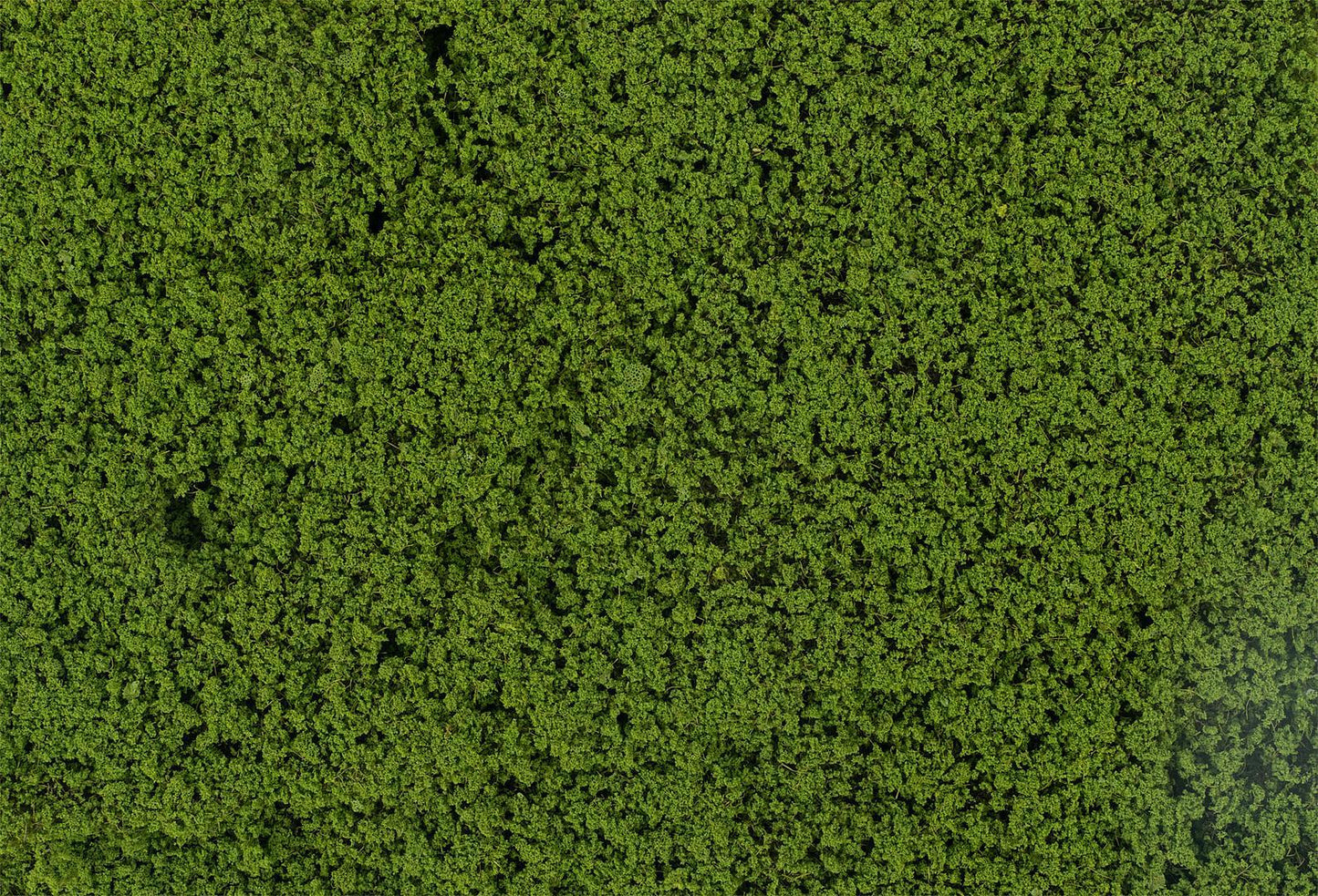 Faller 181622 HO/N/TT/Z Green Leaf Foilage