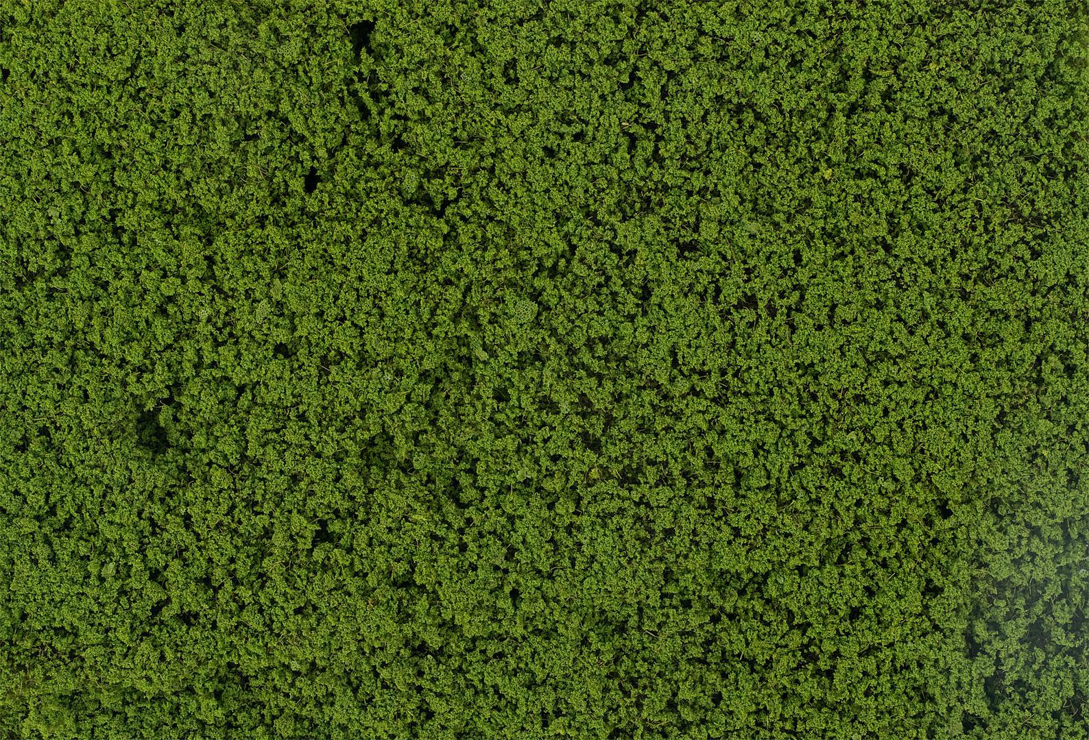 Faller 181622 HO/N/TT/Z Green Leaf Foilage
