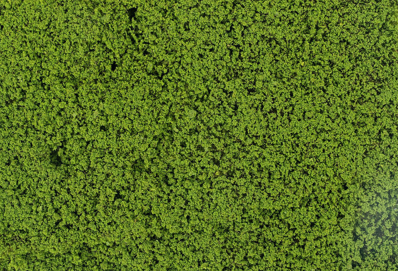 Faller 181625 HO/N/TT/Z May Green Leaf Foliage