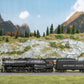 Marklin 37983 HO Southern Pacific Berkshire 2-8-4 Steam Locomotive #3505