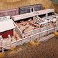 Campbell Scale Models 400 HO M E Nelson Livestock Company Building Kit