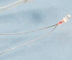 Cir-Kit Concepts 101015 Micro Bulb 1.5Volt w/Term