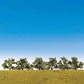Faller 181478 HO/TT/N 6 Bushes (Blooming White)