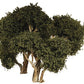 Grand Central Gems T30 Hardwood Trees 6" Tall (Pack of 2)