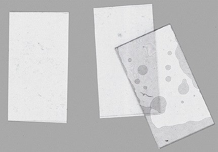 Ngineering N7004-4 .005 Thick Plate Glass - .85 x 1.70 (Pack of 4)