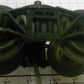 Lionel 571-1 Plastic Postwar Archbar Plain Truck with Eyelet Stud Hole Mount
