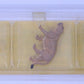 Preiser 0622 HO Animals - Circus Lion Figures (Set of 3)