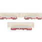Micro Trains 99301450 N Royal American Shows Heavyweight Passenger (Set of 3)