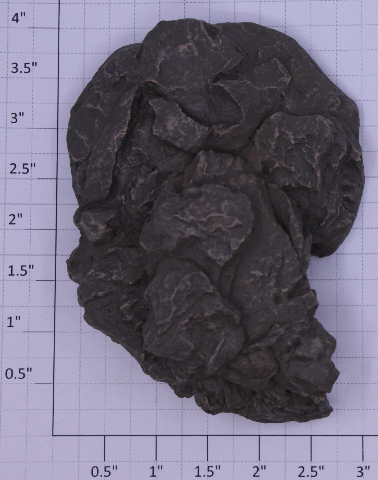 Lionel 34149-189 Frustrated Hunter Large Stone