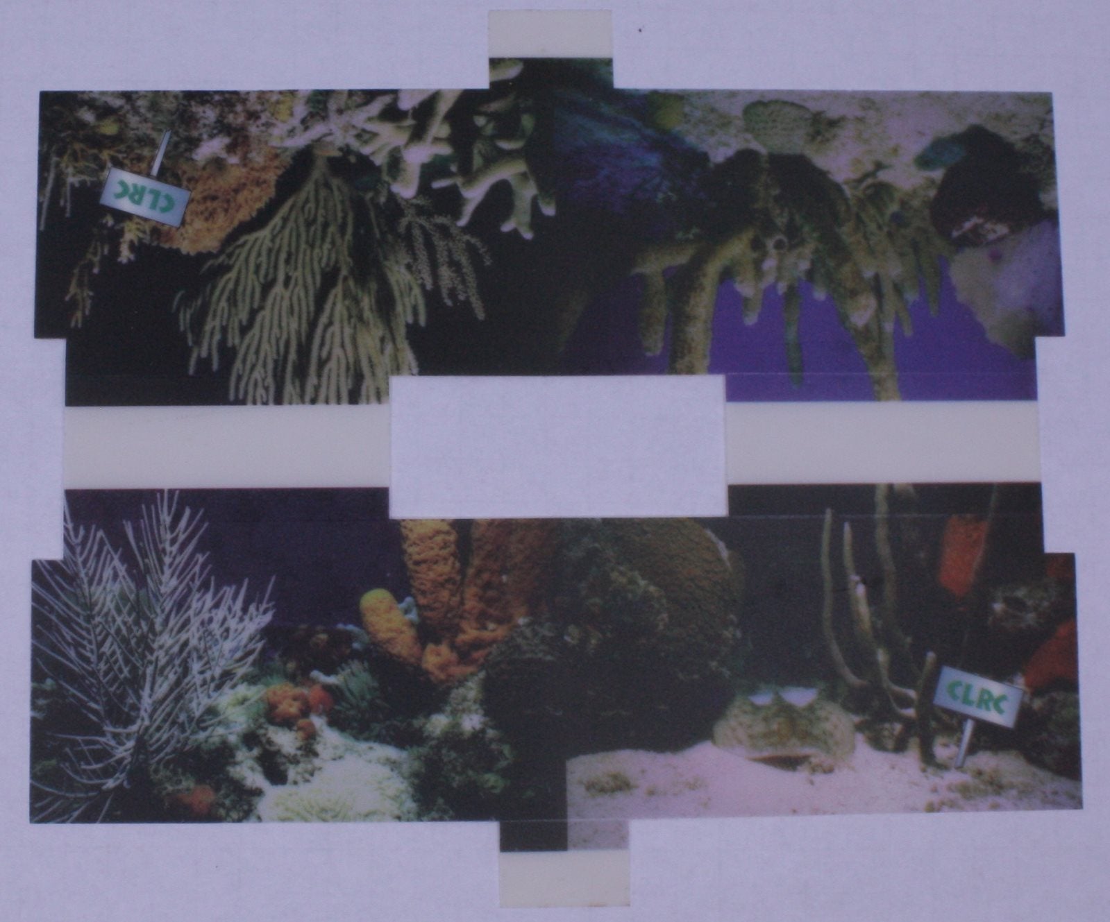 Lionel 12120-10 CLRC 1997 Aquarium Car Printed Screen