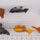 Lionel 21904-100 Safari Adventure Figures (Set of 6)