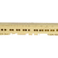 Oriental Limited 01000 HO Scale BRASS Pullman 3975C Solarium Observation Car LN/Box