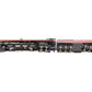 Williams 5600 O BRASS Southern Pacific 4-8-4 GS-4 Steam Locomotive #4449 EX/Box