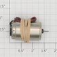Faulhaber 339/217 4-Volt DC Motor