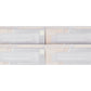 True Line Trains 300200 HO Canadian National1937 40' Steel Express Boxcars (4)