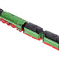 Arnold 2504 N Scale Brass DR 4-6-2 Steam Locomotive and Tenders #18201 VG/Box