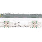 HAG 221 HO SBB Re 4/4 I Gleichstrom Electric Locomotive #10035 EX/Box