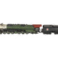 Bowser 2500 HO Brass 4-6-6-4 Locomotive & Tender - Painted