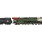Bowser 2500 HO Brass 4-6-6-4 Locomotive & Tender - Painted