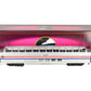 MTH 20-6748 O Gauge Amtrak "Mount Mitchell" Vista Dome Car VG/Box