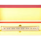 The Coach Yard 1170 HO Southern Pacific LW Sleeper, 13 Double Bedroom- Unpainted EX/Box