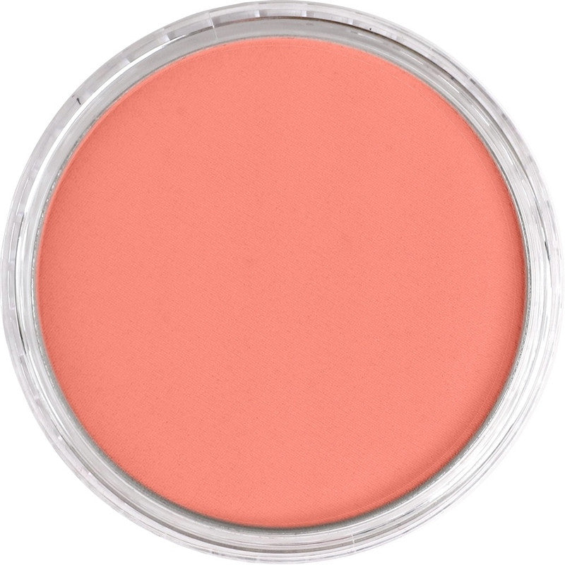 PanPastel 23106 Artist Pastel Vermilion Medium Pan