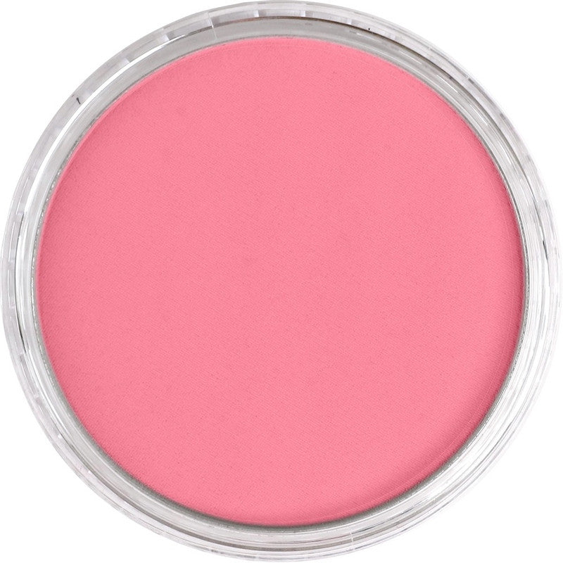 PanPastel 23407 Artist Pastel Permanent Red Light Pan