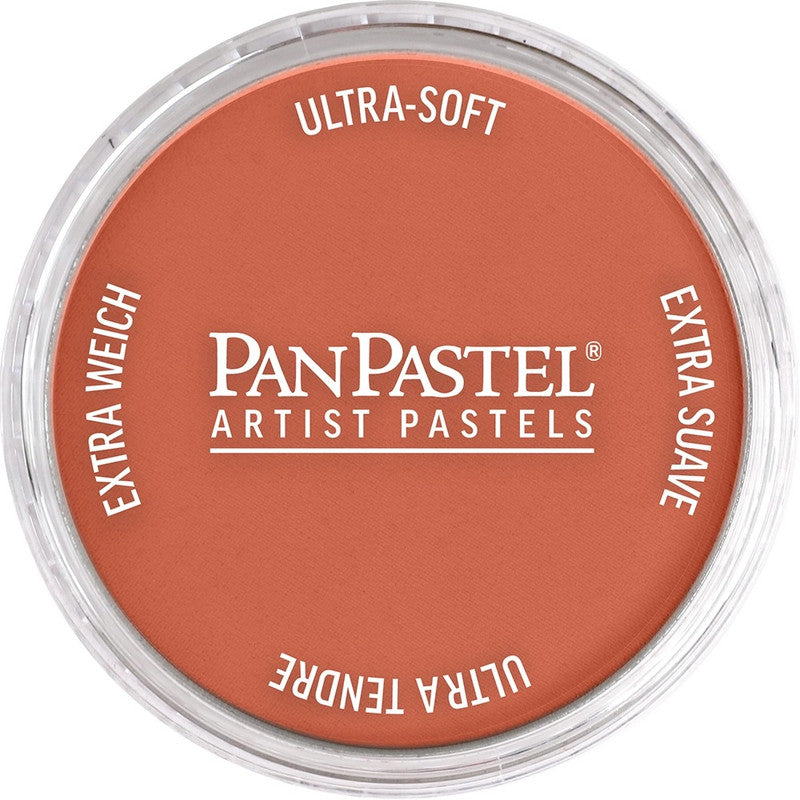 PanPastel 23807 Artist Pastel Red Iron Oxide Light Pan