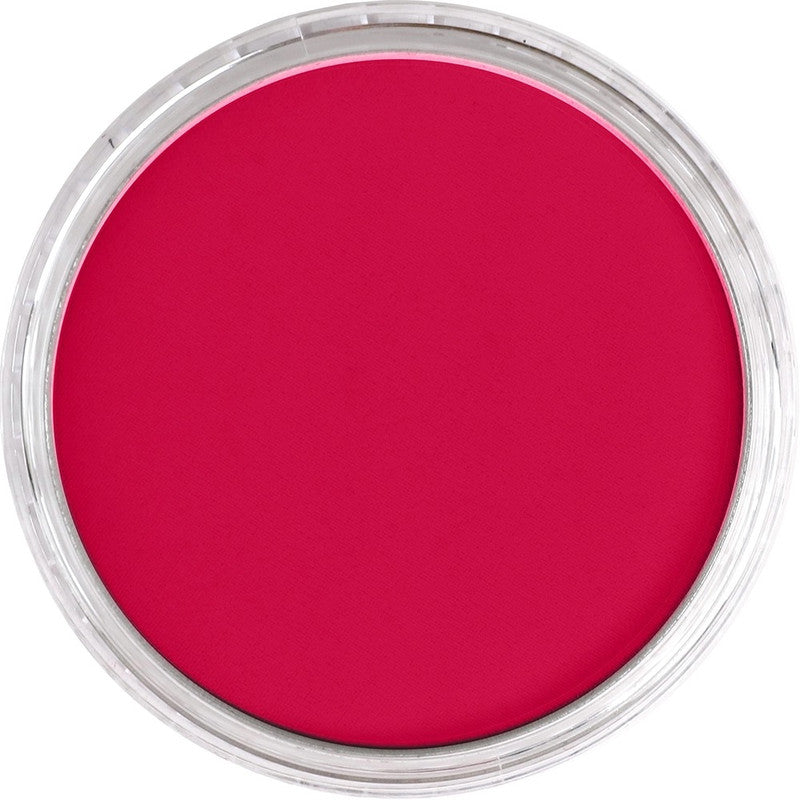 PanPastel 24105 Artist Pastel Primary Magenta Pan