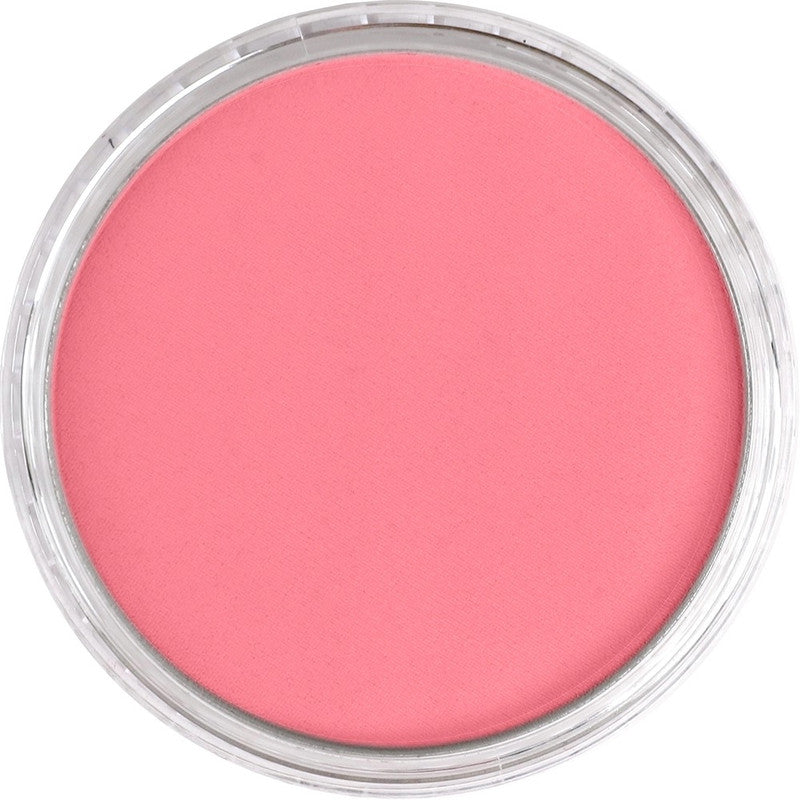 PanPastel 24106 Artist Pastel Primary Magenta Medium Pan