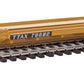 Walthers 910-5268 HO TTX 263' Five-Unit All-Purpose 48' Spine Car RTR #79736