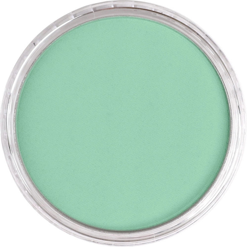PanPastel 26407 Artist Pastel Permanent Green Light Pan