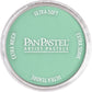 PanPastel 26407 Artist Pastel Permanent Green Light Pan