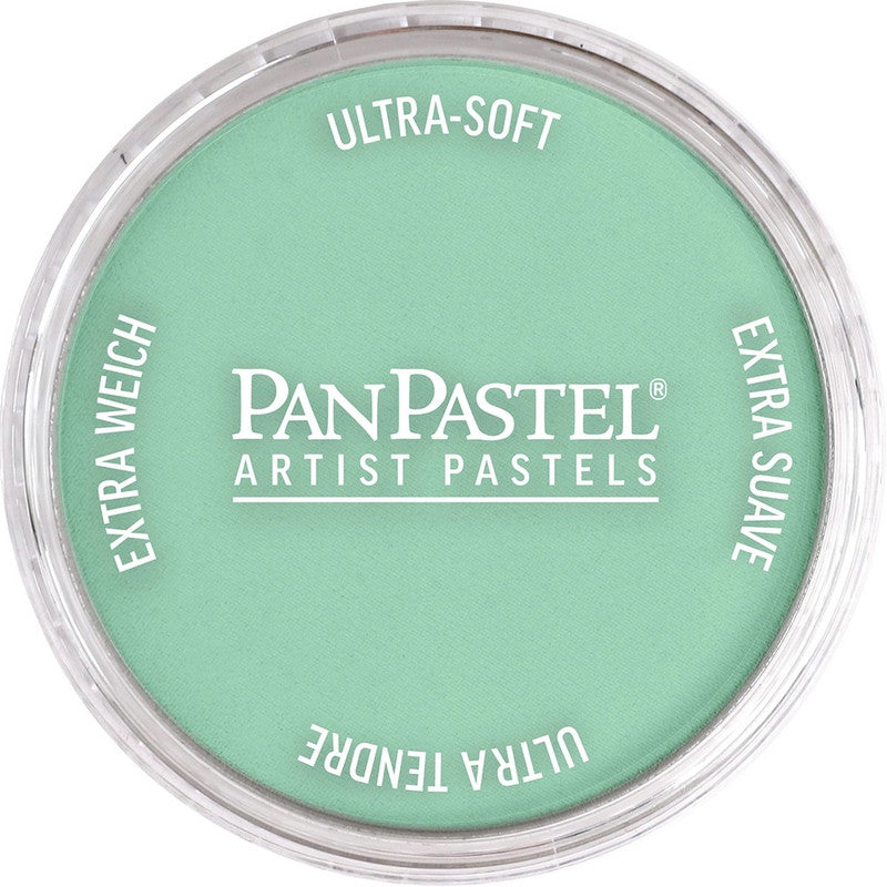PanPastel 26407 Artist Pastel Permanent Green Light Pan