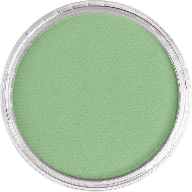 PanPastel 26607 Artist Pastel Chromium Oxide Green Light Pan