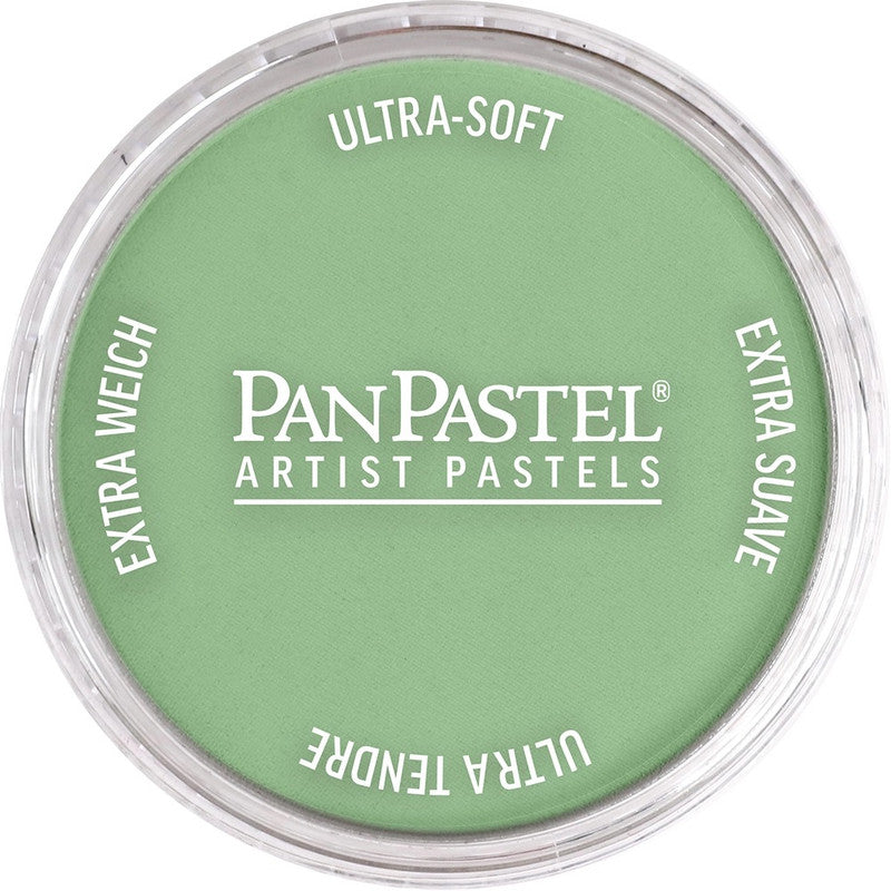 PanPastel 26607 Artist Pastel Chromium Oxide Green Light Pan