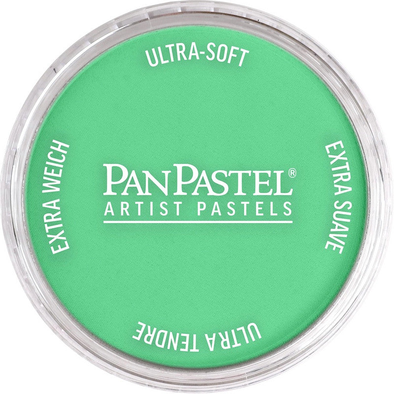 PanPastel 26707 Artist Pastel Blue Green Light Pan