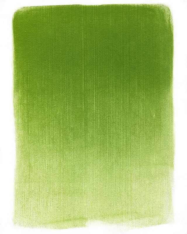 PanPastel 26903 Artist Pastel Yellow Green Shade Pan