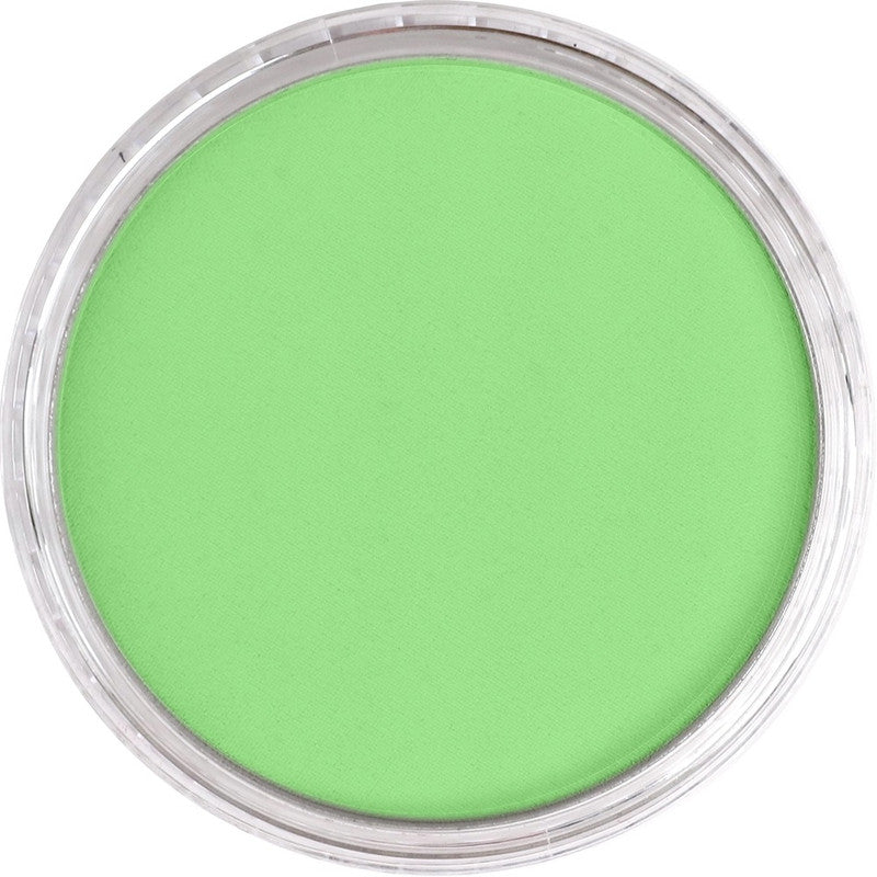 PanPastel 26907 Artist Pastel Yellow Green Light Pan