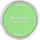 PanPastel 26907 Artist Pastel Yellow Green Light Pan