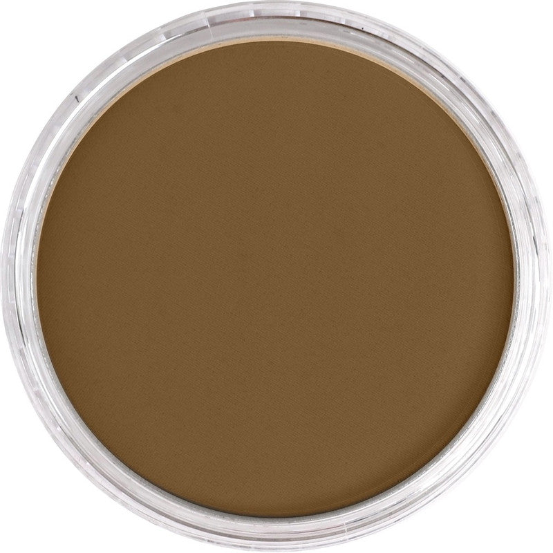 PanPastel 27101 Artist Pastel Raw Sienna Extra Dark Pan