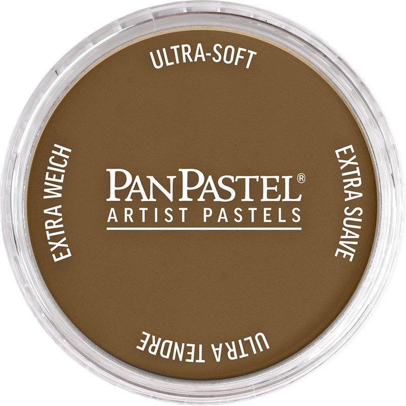 PanPastel 27101 Artist Pastel Raw Sienna Extra Dark Pan
