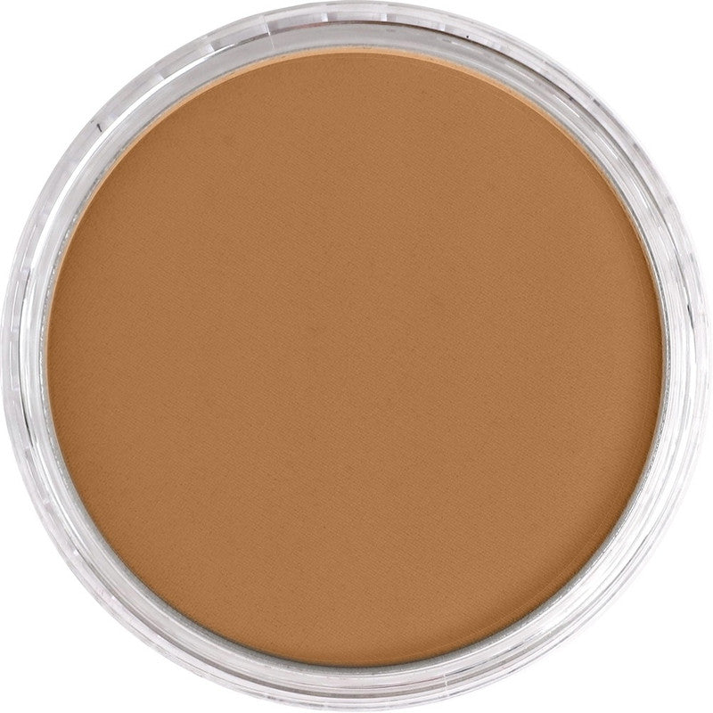 PanPastel 27103 Artist Pastel Raw Sienna Shade Pan