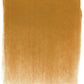 PanPastel 27105 Artist Pastel Raw Sienna Pan