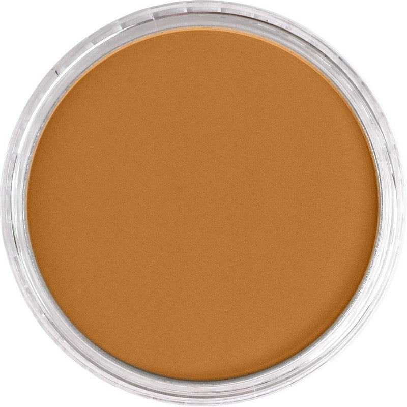 PanPastel 27105 Artist Pastel Raw Sienna Pan
