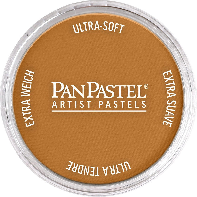 PanPastel 27105 Artist Pastel Raw Sienna Pan