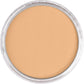 PanPastel 27107 Artist Pastel Raw Sienna Light Pan